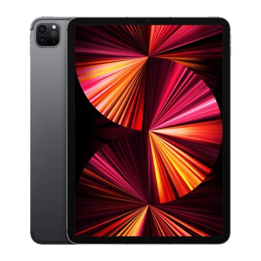 iPad Pro 11" 3th Wi-Fi + Cell  256 GB 2021 SpaceGray (buono)