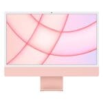 24 rosa f