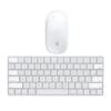 KIT MOUSE E TASTIERA APPLE Convertita ITA (A1644+A1657) GRADO ECCELLENTE