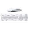 KIT APPLE MOUSE + TASTIERA (GRADO ECCELLENTE)
